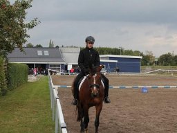 2011 Efterårsstævne